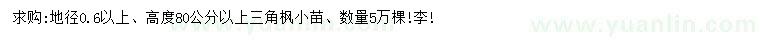 求購地徑0.6公分以上三角楓