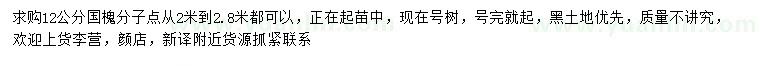 求購12公分國槐