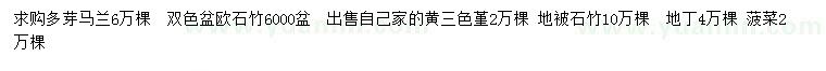 求購(gòu)多芽馬蘭、歐石竹、黃三色堇等