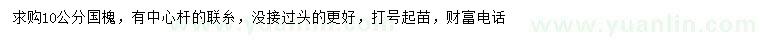 求購10公分國槐