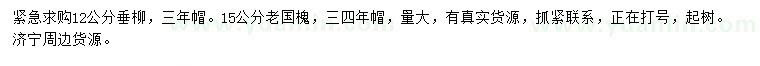 求購12公分垂柳