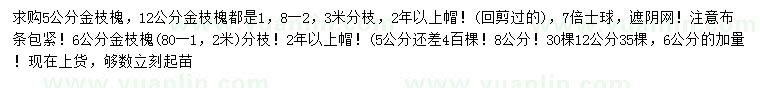 求購5、6、8、12公分金枝槐