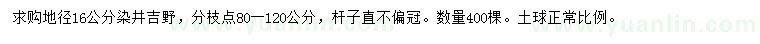 求購地徑16公分染井吉野