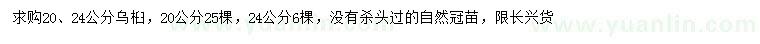 求購20、24公分烏桕