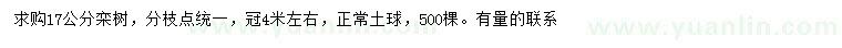 求購(gòu)17公分欒樹(shù)