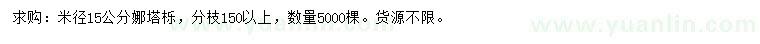求購米徑15公分娜塔櫟