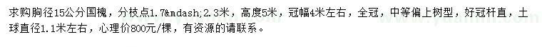求購胸徑15公分國槐