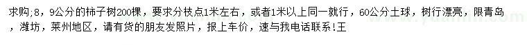 求購8、9公分柿子樹(shù)