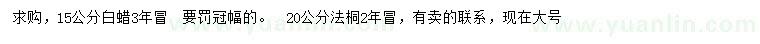 求購(gòu)15公分白蠟、20公分法桐