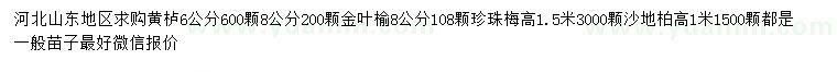 求購黃櫨、金葉榆、珍珠梅等
