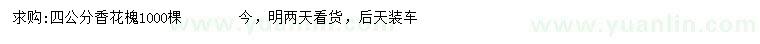 求購4公分香花槐