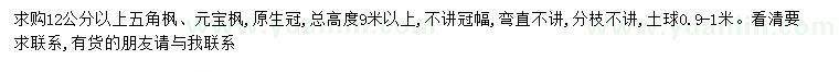 求購(gòu)12公分以上五角楓、元寶楓