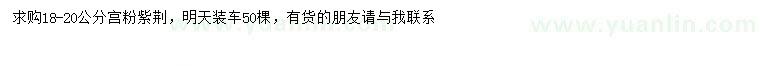 求購(gòu)18-20公分宮粉紫荊