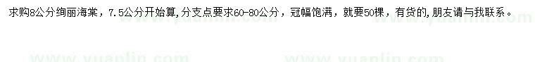 求購8公分絢麗海棠
