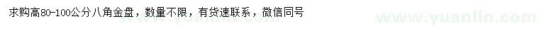 求購高80-100公分八角金盤