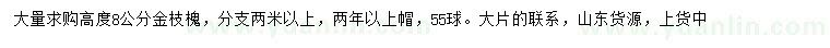 求購高8公分金枝槐