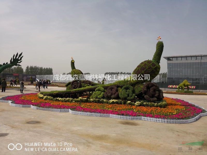 成都真植物綠雕，成都生態(tài)雕塑造型廠