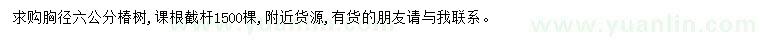 求購胸徑6公分椿樹
