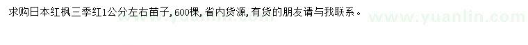 求購1公分日本紅楓三季紅