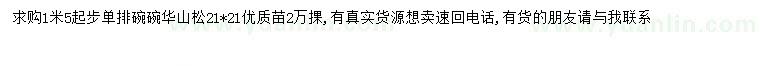 求購1.5米起步華山松