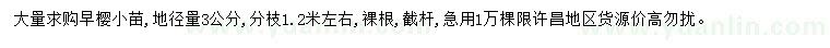 求購(gòu)地徑3公分早櫻