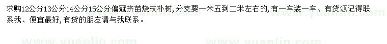 求購12、13、14、15公分樸樹