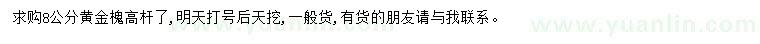 求購8公分黃金槐