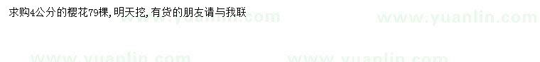 求購4公分櫻花