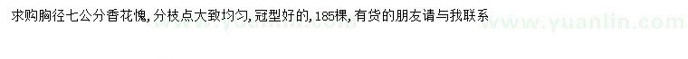 求購胸徑7公分香花槐