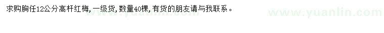求購胸徑12公分高桿紅梅