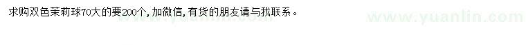 求購70公分雙色茉莉球