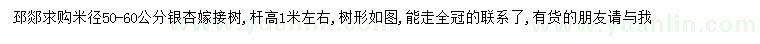 求購米徑50-60公分銀杏