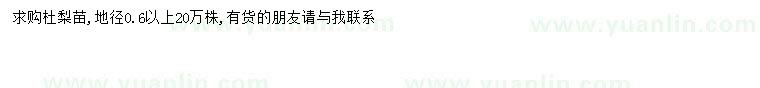 求購地徑0.6公分以上杜梨苗