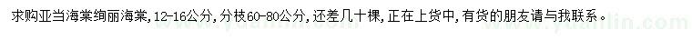 求購(gòu)12-16公分亞當(dāng)海棠、絢麗海棠