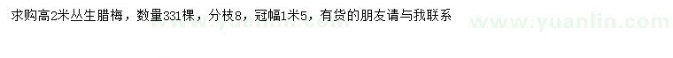 求購高2米叢生臘梅
