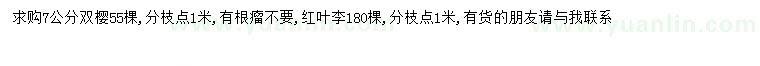 求購7公分雙櫻、紅葉李