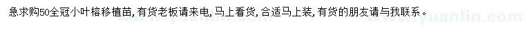 求購50公分小葉榕
