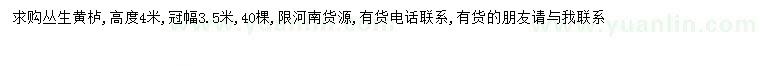 求購(gòu)高4米叢生黃櫨