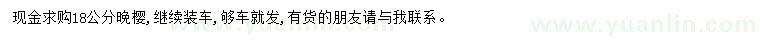 求購18公分晚櫻