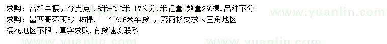 求購(gòu)米徑17公分高桿早櫻、墨西哥落羽杉