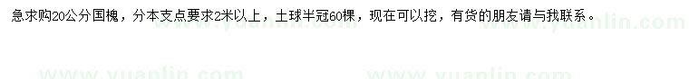 求購20公分國槐
