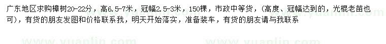 求購20-22公分樟樹