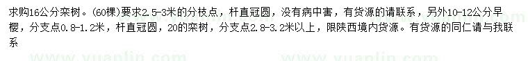 求購16公分欒樹