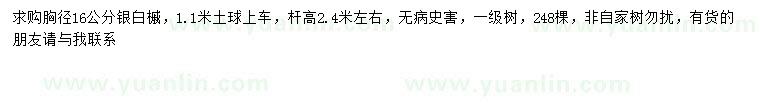 求購胸徑16公分銀白槭