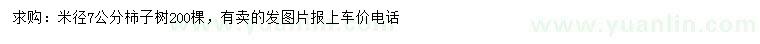 求購米徑7公分柿子樹