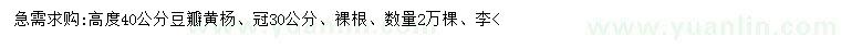 求購高40公分豆瓣黃楊