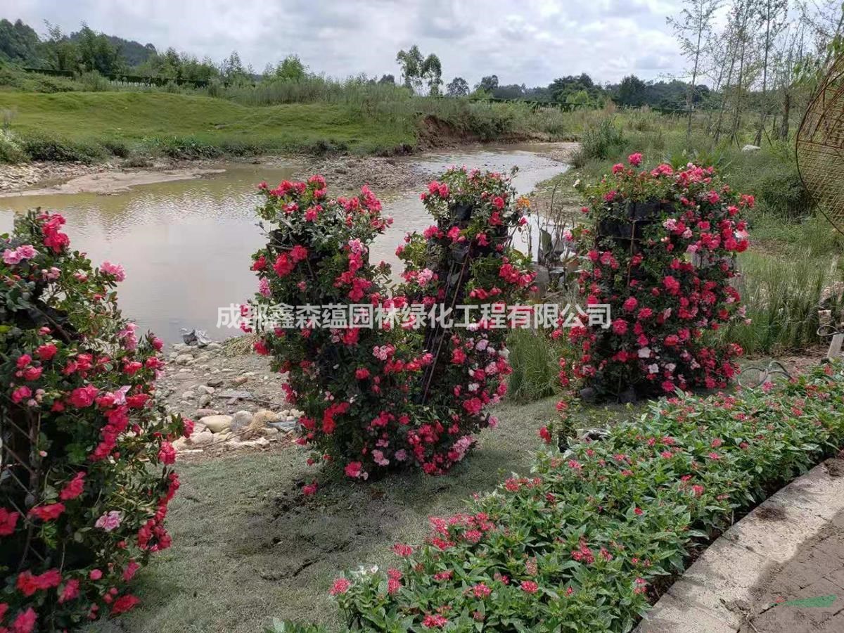 成都真植物綠雕 成都定制仿真綠雕 真植物雕塑
