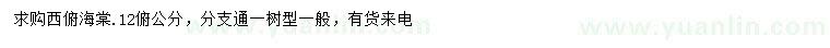 求購12公分西府海棠