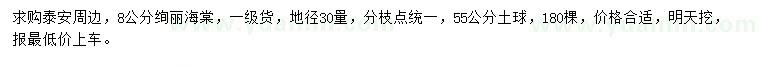 求購30量8公分絢麗海棠