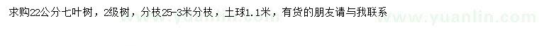 求購22公分七葉樹